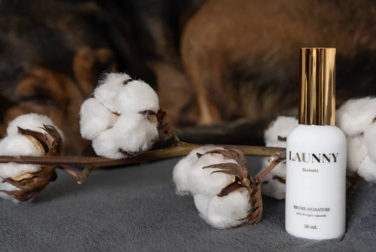 Huiles essentielles et animaux : ATTENTION !