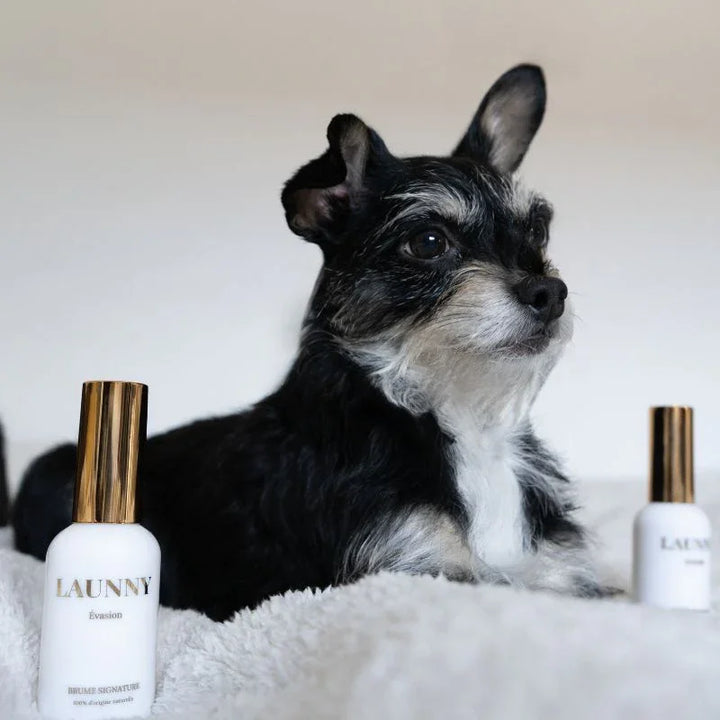 Désodorisants LAUNNY pour intérieur avec animaux