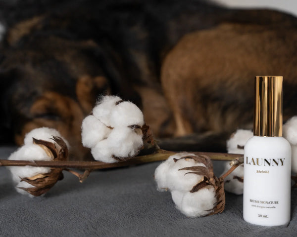 Désodorisants LAUNNY pour maison avec chiens et chats